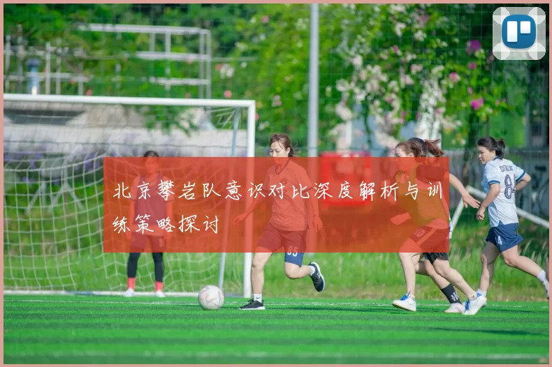北京攀岩队意识对比深度解析与训练策略探讨