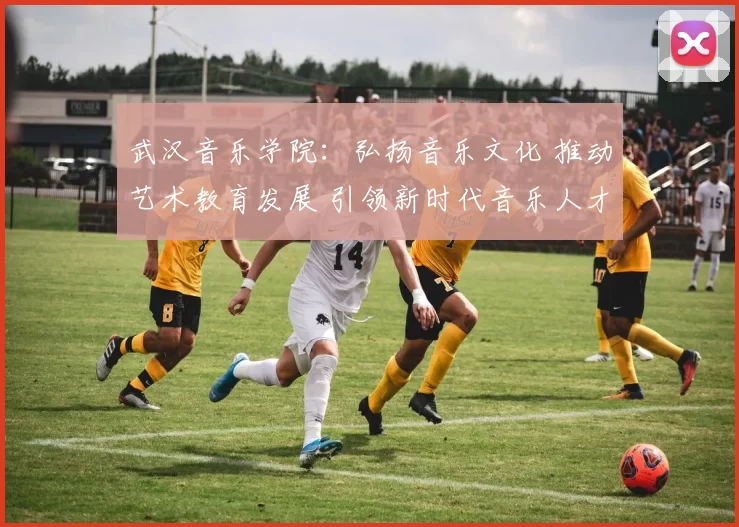 武汉音乐学院：弘扬音乐文化 推动艺术教育发展 引领新时代音乐人才培养