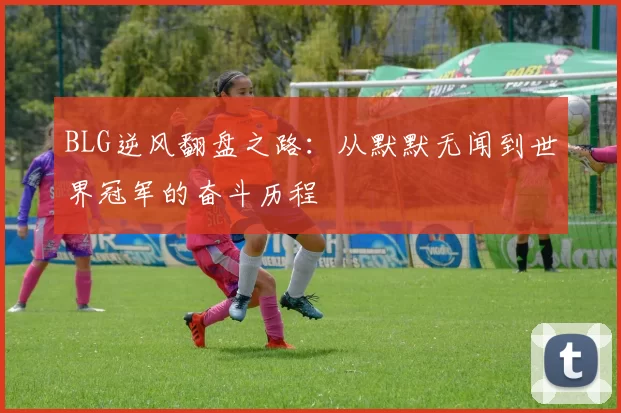 BLG逆风翻盘之路：从默默无闻到世界冠军的奋斗历程