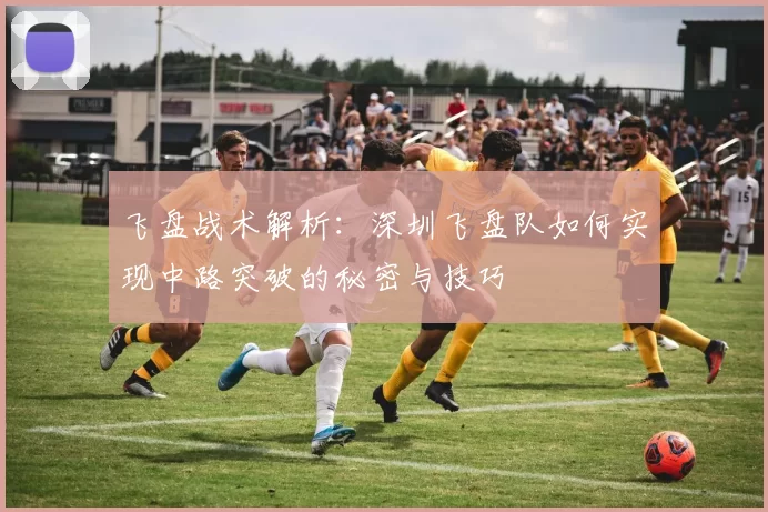 飞盘战术解析：深圳飞盘队如何实现中路突破的秘密与技巧