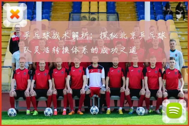 乒乓球战术解析：探秘北京乒乓球队灵活转换体系的成功之道