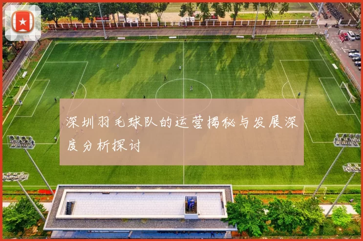 深圳羽毛球队的运营揭秘与发展深度分析探讨