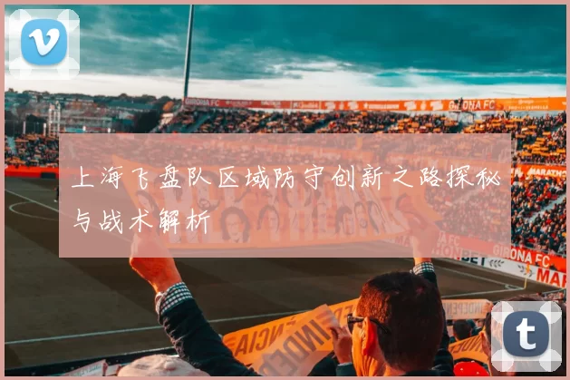 上海飞盘队区域防守创新之路探秘与战术解析