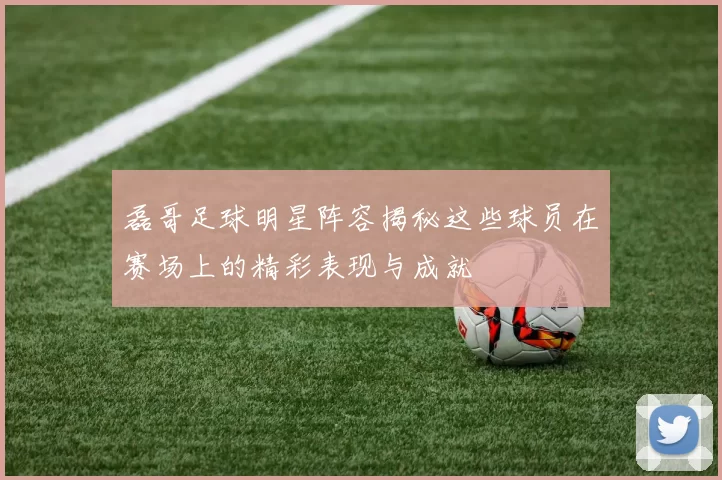 磊哥足球明星阵容揭秘这些球员在赛场上的精彩表现与成就