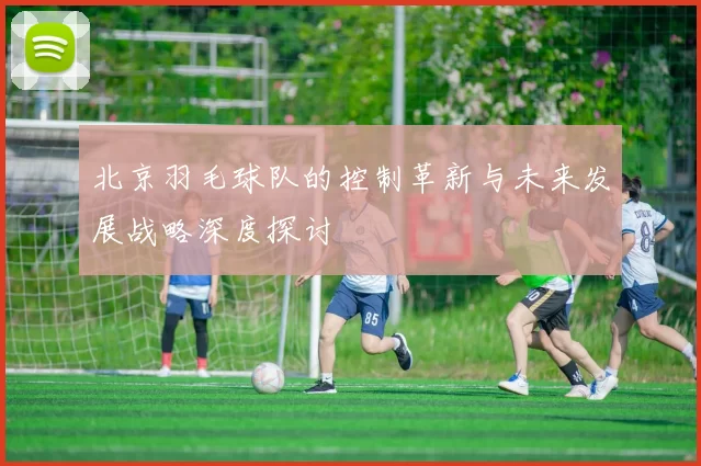 北京羽毛球队的控制革新与未来发展战略深度探讨