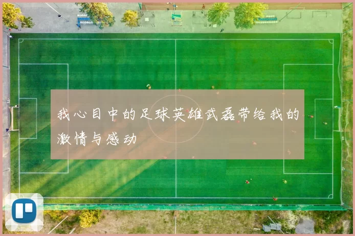 我心目中的足球英雄武磊带给我的激情与感动