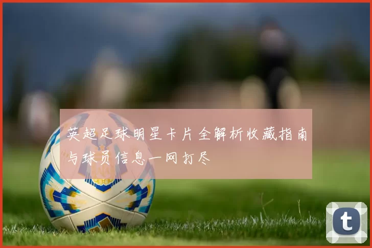 英超足球明星卡片全解析收藏指南与球员信息一网打尽