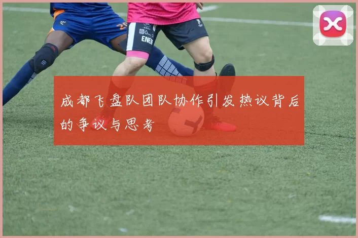 成都飞盘队团队协作引发热议背后的争议与思考