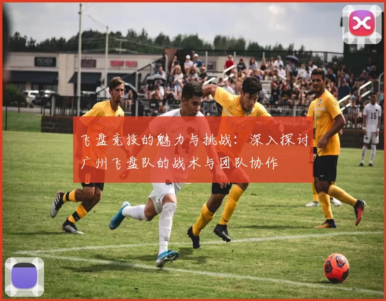 飞盘竞技的魅力与挑战：深入探讨广州飞盘队的战术与团队协作