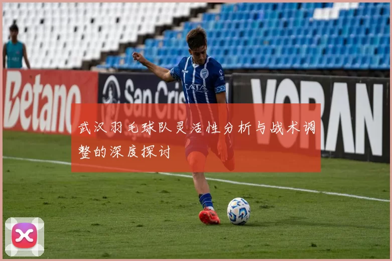 武汉羽毛球队灵活性分析与战术调整的深度探讨