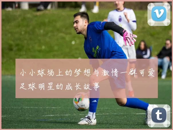 小小球场上的梦想与激情一群可爱足球明星的成长故事