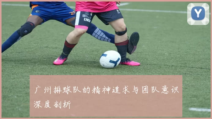 广州排球队的精神追求与团队意识深度剖析